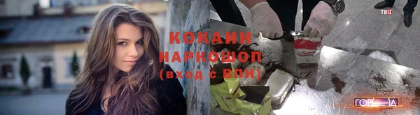 spice Верея