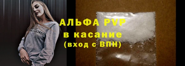 spice Верея