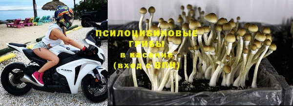 Альфа ПВП Верхний Тагил